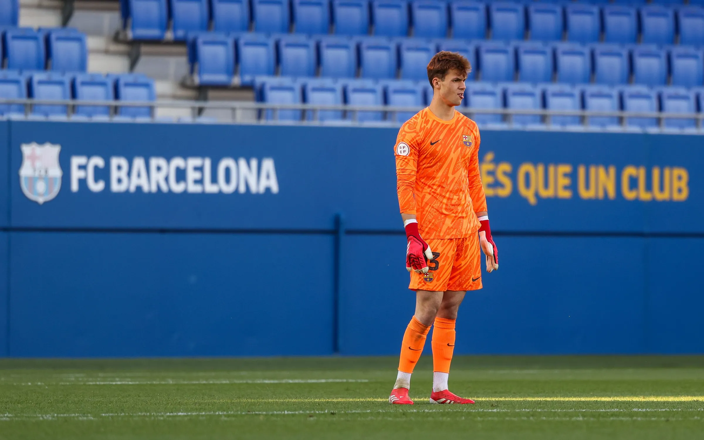 Photo du sous-article